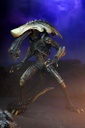 Alien vs Predator Action Figure Xenomorfi Set 3 Pz 22 Cm NECA