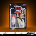 HASBRO Anakin Skywalker Star Wars Episode II Vintage Collection 10 cm Action Figure