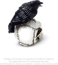 Miniatura Raven Skull Alchemy