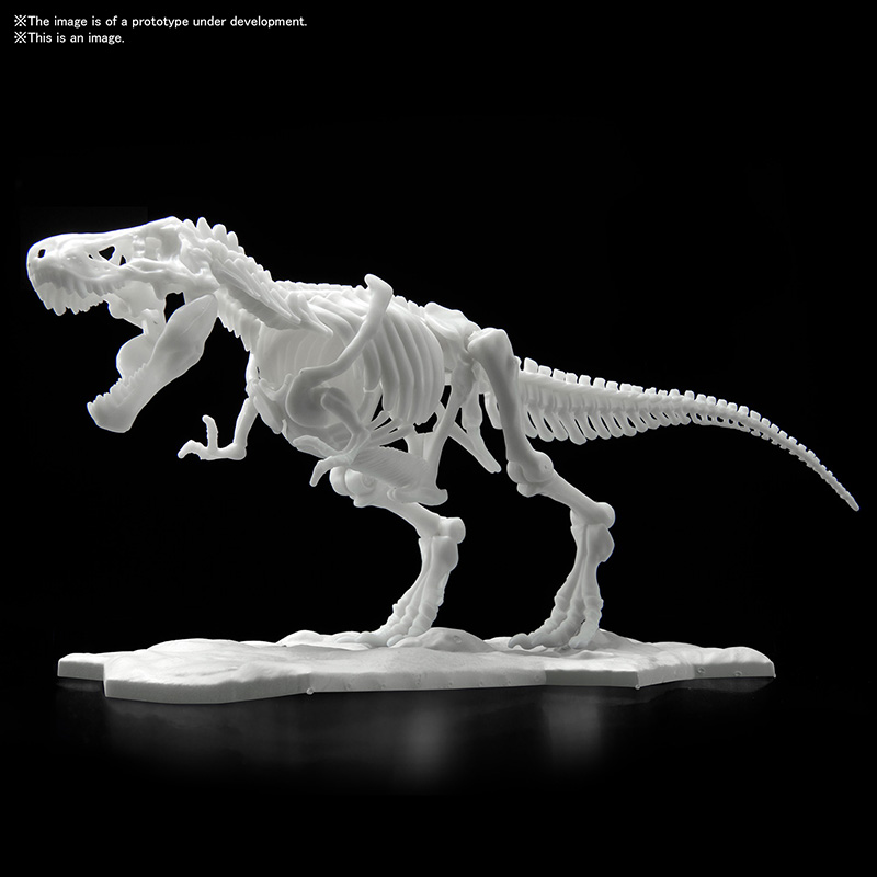 Model Kit Dinosaurs - Tyrannosaurus Limex Skeleton