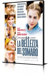 [256112] Bellezza Del Somaro (La)