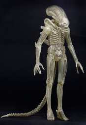 [353446] NECA - Alien 18&quot; Translucent Prototype Suit Trasparente 55 cm Action Figure
