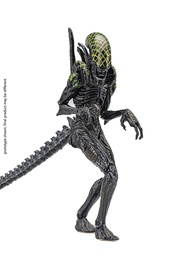 [431307] HIYA TOYS Alien Vs. Predator Grid Alien PX Previews Exclusive 1/18 10 cm Action Figure