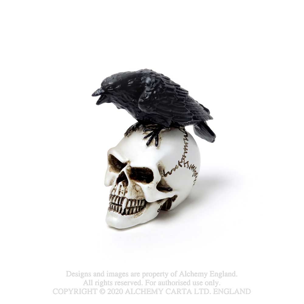 [437536] Miniatura Raven Skull Alchemy