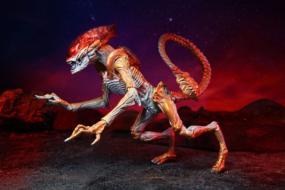 [441592] Aliens Action Figure Panther Alien Kenner Tribute 23 Cm NECA