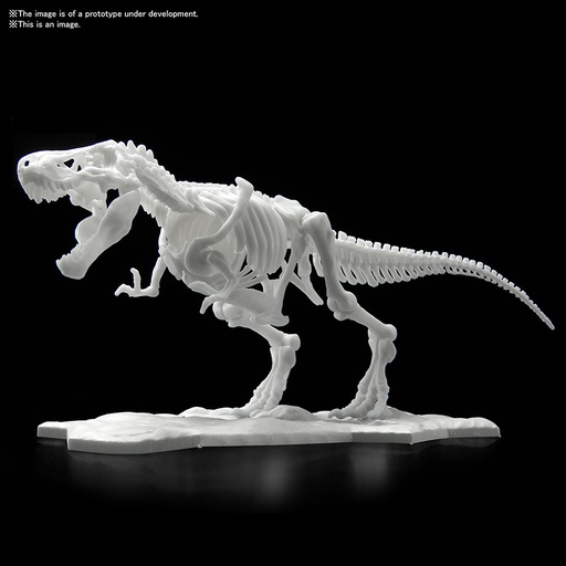 [GIMO0216] Model Kit Dinosaurs - Tyrannosaurus Limex Skeleton