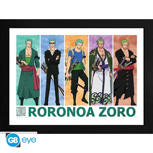 [GAPR0100] Stampa One Piece - Zoro (Con Cornice)
